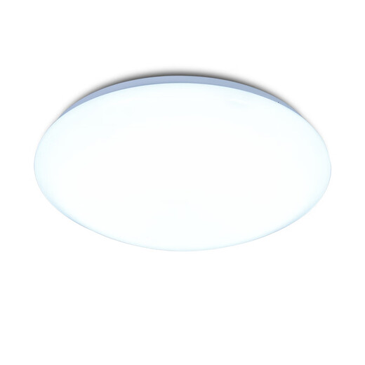 Micro ceiling light LED super bright home living room bedroom kitchen lighting round staircase balcony simple 24W 33CM white light promotion