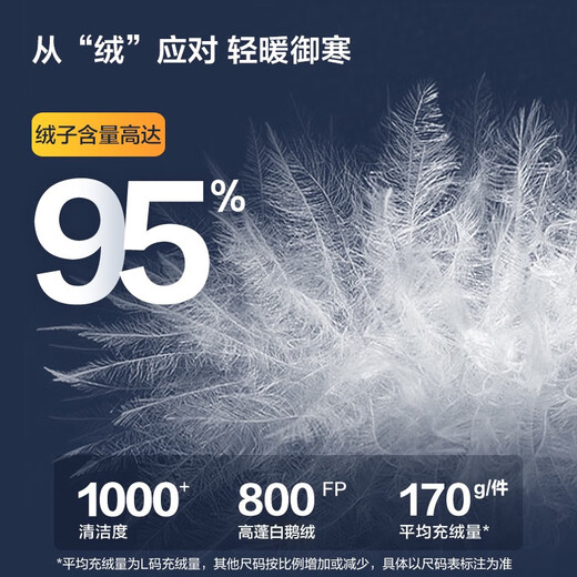 京东京造热气球黑金大鹅绒服保暖三防户外运动羽绒服男短款 曜石黑 L