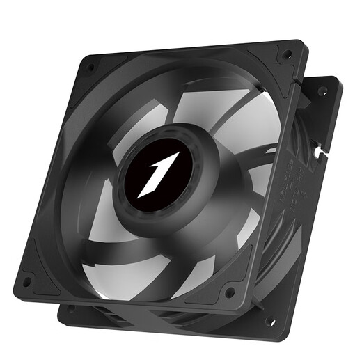 Chief Player (1st player)