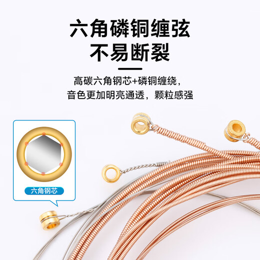 Road Dog Guitar Strings Complete Set of 6 Folk Acoustic Guitar Strings Set KC11 PVD Coated-Comfortable Feel 11-52