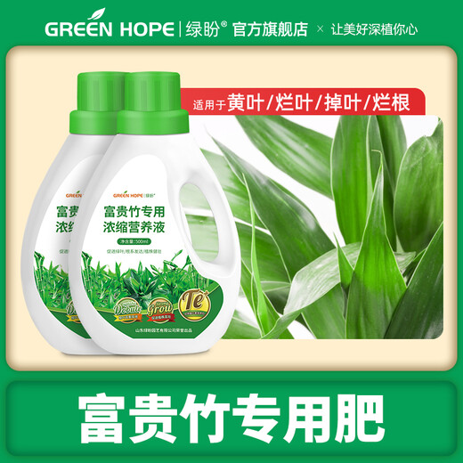 Green Hope Rich Bamboo Nutrient Solution Special Leaves Yellow Bamboo Branch Water Culture Hydroponic Fertilizer Green Plant Potted Soil Culture Transfer Bamboo