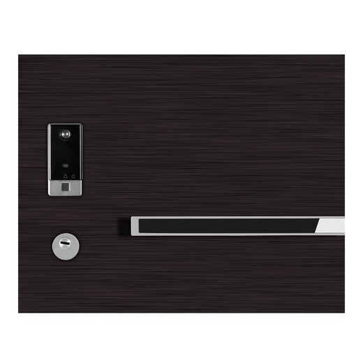 和乐门业（HELE DOORS）和乐门业 甲级门-乐颂 轻奢简约风 防盗入户门 钢质门 可定制 2050*960单扇