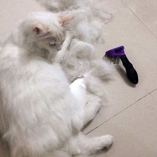 Aipu Dog Comb Dog Hair Cleaning Artifact Cat Comb Removes Cat Hair Brushing Artifact Removes Floating Hair Comb M Size - Special for Short and Medium Haired Cats