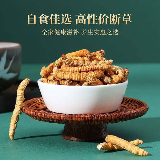 
Cordyceps sinensis authentic snowy areas in Tibetan areas, fresh Cordyceps sinensis broken grass Cordyceps sinensis dry goods and affordable bulk, medium-altitude broken grass quality is very poor, powdered