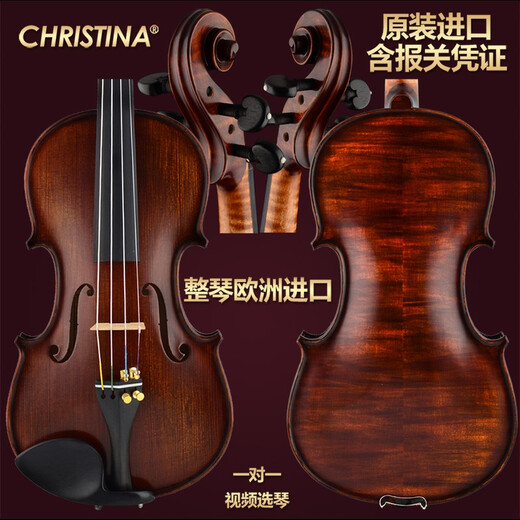 克莉丝蒂娜（Christina）欧洲原装进口小提琴EU4000B考级进阶演奏成人学生乐队乐团乐器 4/4身高155cm以上