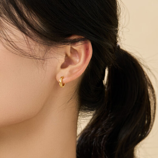 Chow Sang Sang Modern Small Circle Gold Stud Earrings Yong Series Pure Gold Crushed Ice Earrings Pair 95310E Pricing