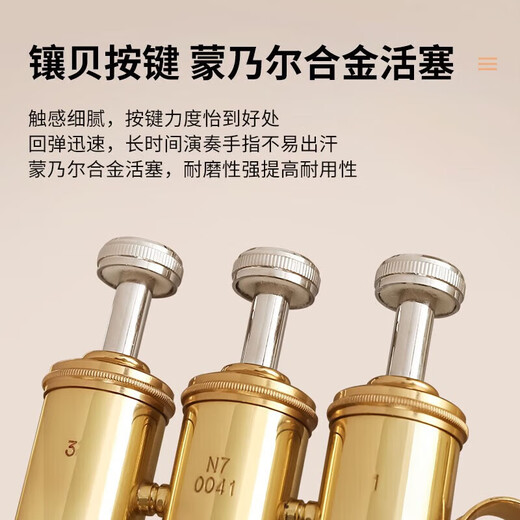 星海抱号 西洋管乐器 专业演奏上低音号扁键降Bb调 B调上低音号XEH-110