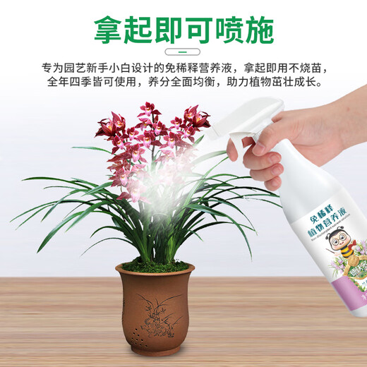 Devodo orchid special plant nutrient solution dilution-free 500mL orchid multi-arrow flower fertilizer Phalaenopsis Clivia