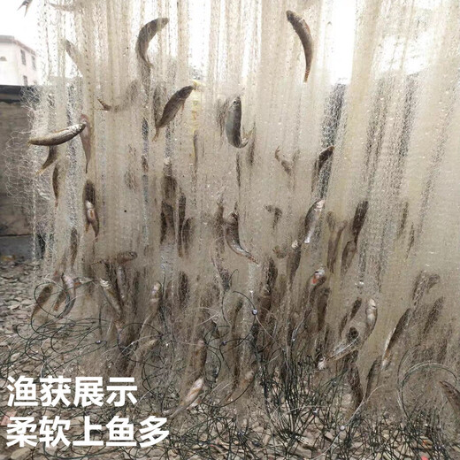 Guangtai small fishing net encrypted outer net three-layer dipped white meal bar net horse mouth floating net sinking net sticky fish net hanging fishing wire net three-layer floating net 1.5 meters high 1.5 fingers 50 meters long