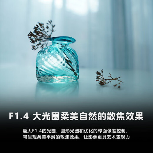 Sony (SONY) E 15mm F1.4 G Ultra-wide-angle fixed focus G lens, lightweight and large aperture (SEL15F14G) E15F1.4