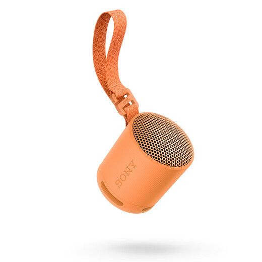 Sony (SONY) SRS-XB100 Bluetooth Speaker Mini Portable Subwoofer 16 Hours Battery Life Outdoor Speaker Waterproof and Dustproof Orange Gift