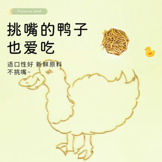 Pet Le Man Cole Duck Mealworm Dried Snacks Rutin Chicken Hamster Food Turtle Food Bird Food Feed Supplies Nutritional Beautiful Hair and Bright Feathers Luxury Full Price Pet Duck Food-Adult Duck 4000ml