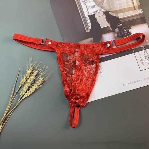 ROSELEX confidential delivery men's sexy adult thong mesh breathable underwear T-shaped pants low-waisted and transparent red one size