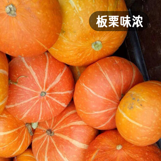 Fengming Yashi Sweet Powder Waxy Red Chestnut Pumpkin Seeds Red Sun Beibei Pumpkin Seeds Red Honey Pumpkin Seeds 20 capsules