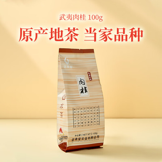武夷星 肉桂茶叶 武夷岩茶乌龙茶 自饮100g