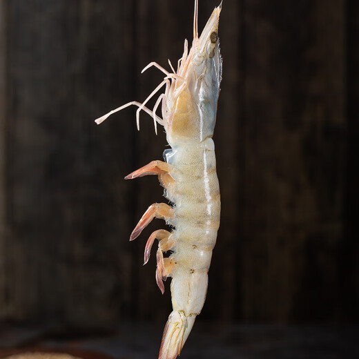 Centennial Fishing Port Sea-caught Extra Large Salt-frozen Separated White Shrimp 30-40Specifications Net shrimp weight 4Jin Jin is equal to 0.5kg 60-80 pieces