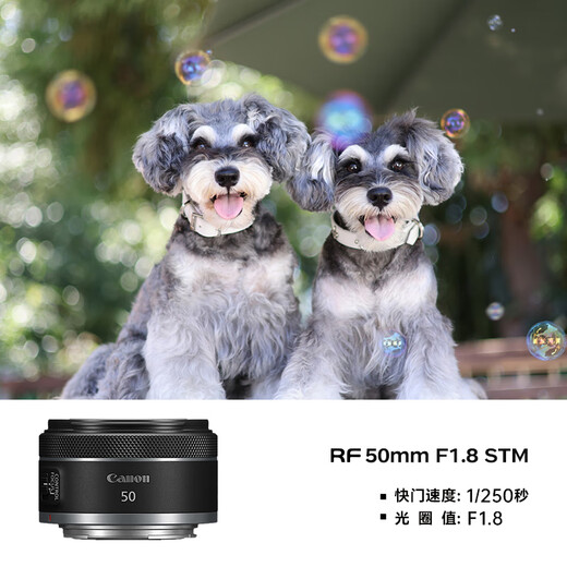 Canon small spittoon rf50f1.8 Canon r50 small spittoon portrait lens rf28f2.8 stm portrait biscuit head special micro full frame standard fixed focus lens RF 50mm F1.8 STM package one