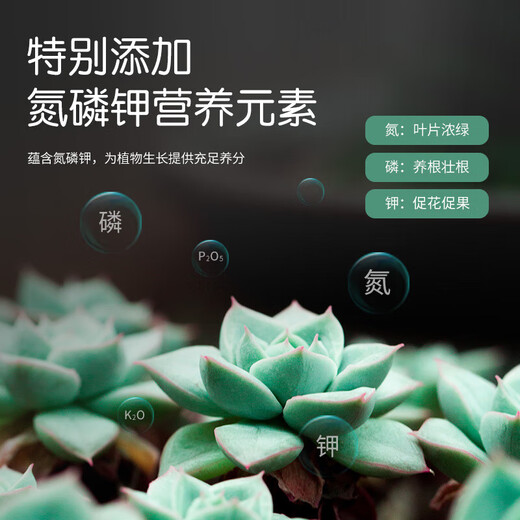 Stanley flower soil nutritional soil flower cultivation universal succulent orchid special vegetable planting flower pot household peat soil planting 6L