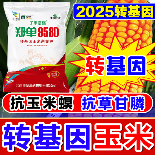 Strong Man Genetically Modified Corn Seeds Resistant to Corn Borer, Double Cobs, Low Stems, Lodging Resistant, Disease Resistant, Hard Large Cobs, Corn Seeds, Genetically Modified Super Resistant, 4300 capsules