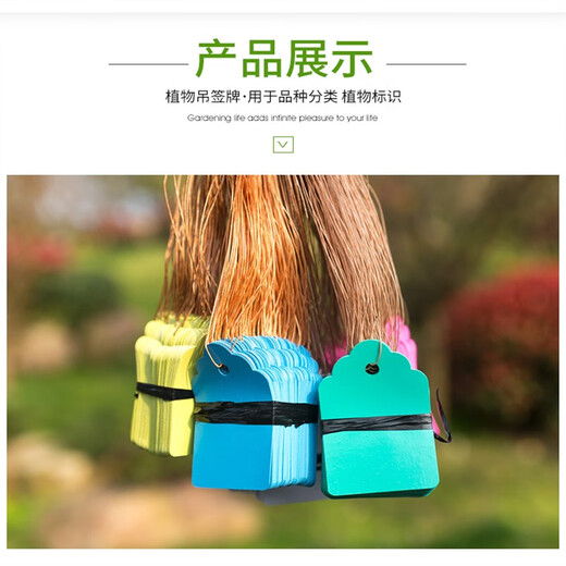 Shipton Etiqueta pequeña experimental de plástico Etiqueta de Flor de Planta Verde Etiqueta Impermeable Etiqueta de plántula de jardinería Etiqueta de Planta de orquídea 3.5 * 5 Amarillo 100 Hojas