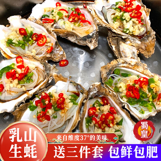 Shuhuang Rushan Oysters Fresh Large Seafood New Year Products 5Jin Jin is equal to 0.5kg, net weight 5XL (8-12 pcs), only shipped directly from the source, free shipping