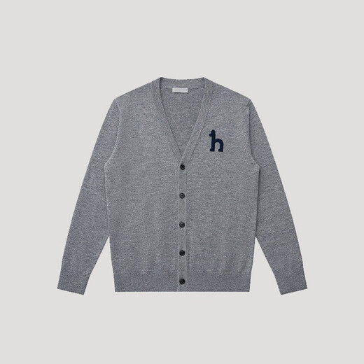 哈吉斯（HAZZYS）男装 秋冬款羊毛衫纯色毛衣薄款羊毛开衫男ABYZD0BDF51 灰色GE M （170/92A 46）