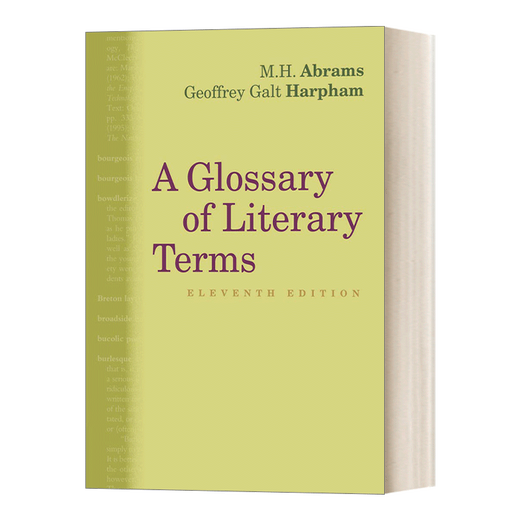 Un glossaire de termes littéraires Anglais original Dictionnaire des termes littéraires britanniques et américains 11e édition Abrams Rédacteur en chef Version anglaise importée Livre original anglais