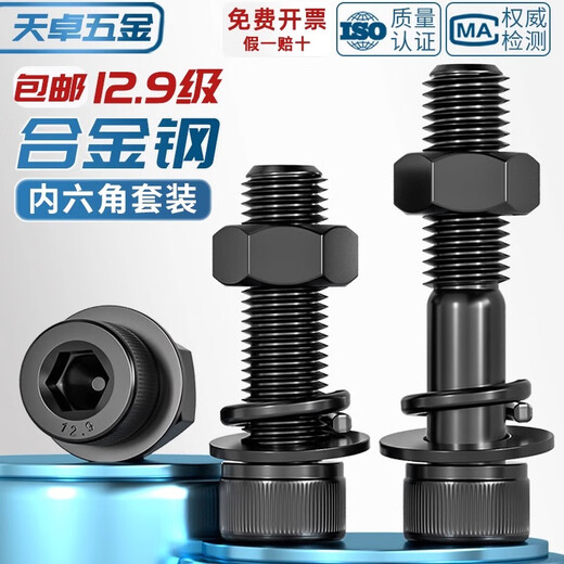 Tianzhuo Hardware Grade 12.9 High Strength Cup Head Hexagon Screw and Nut Combination Set Complete Bolt Flat Spring Washer M2-M20 M6*30-10 Set