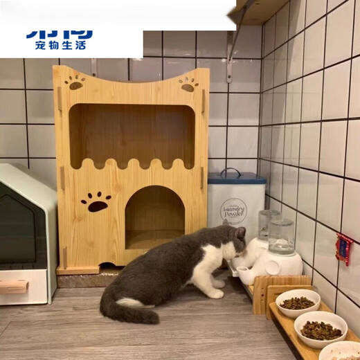 Hibiscus Mingkan is not easy to wet the chin. Elephant drinking fountain Garfield big-faced flat-faced drinking bowl is anti-tip and moisture-proof ceramic. Macaron blue + glass bottle + square plate