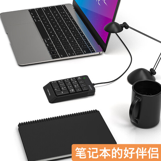 Shuangfeiyan (A4TECH) FK13P Fei Times wired keyboard notebook external numeric keypad wired financial accounting cashier counter securities USB interface black