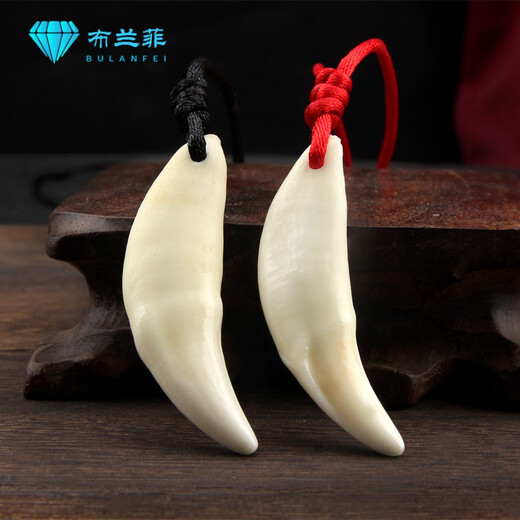 Xinheming wolf tooth pendant set real wolf tooth black dog tooth pendant necklace real Tibetan mastiff tooth pendant wolf tooth men and women large size 4.7-4.9 cm black single tooth