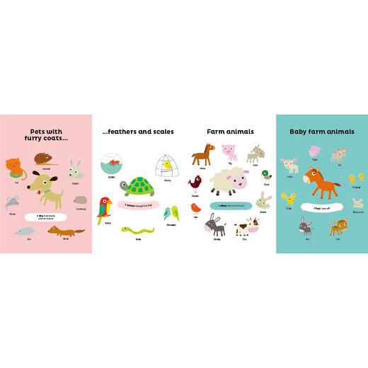 我的第一本触摸书系列：感受 Touch picture book Words 进口原版 英文书