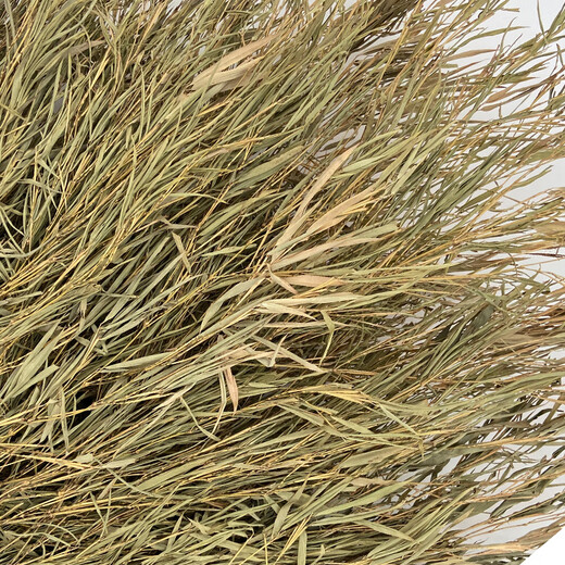 Yigongding large broom sanitation road community property asphalt road floor cleaning bamboo broom broom 4Jin Jin equal to 0.5kg bamboo handle bamboo branches 5 pack yjy09652