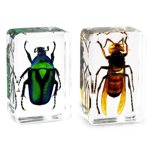 Indigo crystal glue mold rectangular to make insect specimens epoxy resin ab amber handmade DIY material three-dimensional No. 03 10cm rectangular silicone mold