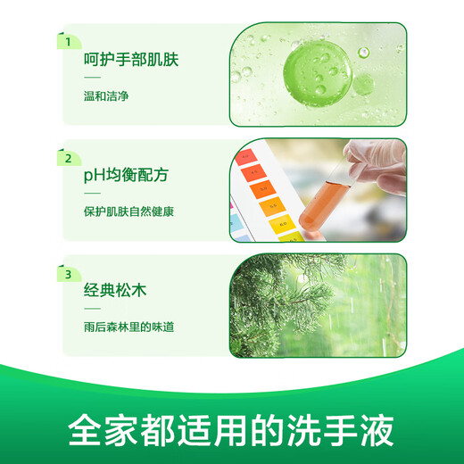 Dettol hand sanitizer, effective antibacterial 99.9%, healthy and clean hand sanitizer for children, babies and the whole family, easy to rinse, classic pine 500g*2 bottles