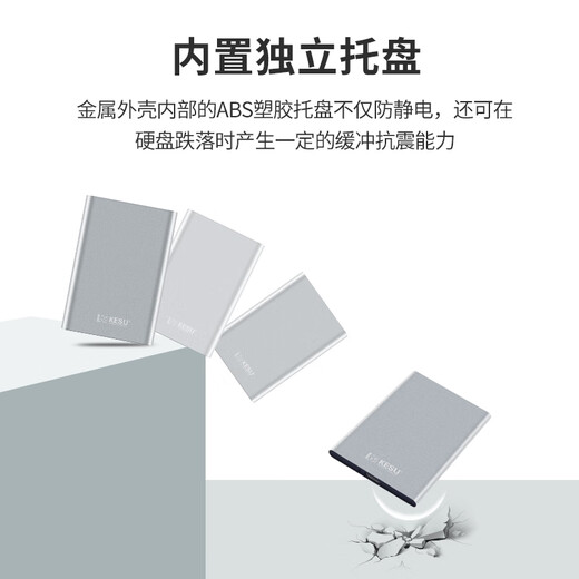科硕（KESU） 移动硬盘 USB3.0  大容量安全加密 高速外接存储 K201-皓月银 500G  标准套餐