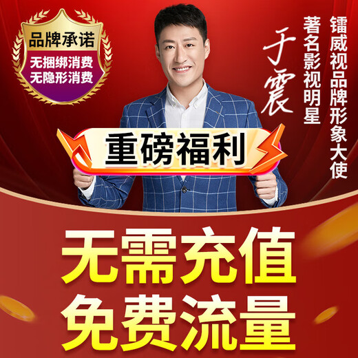 镭威视4g监控太阳能无需网络AI摄像头户外无死角手机远程360度全景终身免流量高清夜视防水监控家用室外 【4G至尊版】免充流量0费用+送64G