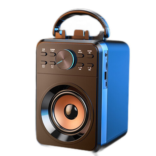 Saida Saida Bluetooth-Lautsprecher, kabellos, Outdoor-Audio, Square Dance, hohe Lautstärke, kleines Zuhause, tragbar, tragbarer Verstärker, Standlautsprecher, Übertragung X1