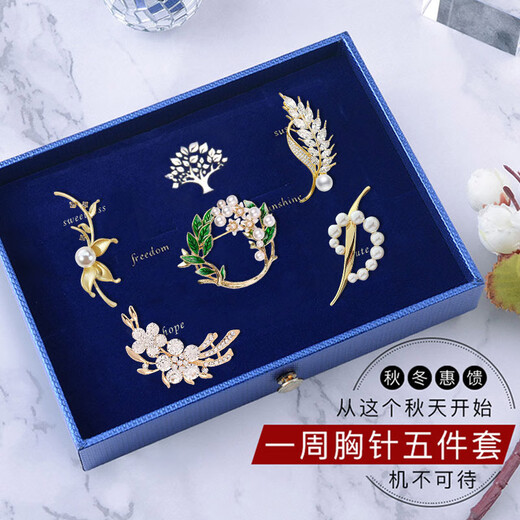Ancient brooch, high-end women's exquisite niche corsage gift box, light luxury and elegant pin, silk scarf buckle, birthday gift for women, practical, high-end fashion brooch, five-piece set, exquisite gift box
