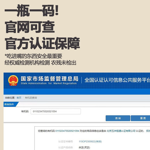 Zhensentang 2024 First Road New Powder Changbai Mountain Local Red Ganoderma Spore Powder 500g Organic Robe Powder Broken Spore Oil First Road Powder 500g Rich in Spore Oil, a total of two bottles (1 box of original Ganoderma lucidum tablets included)