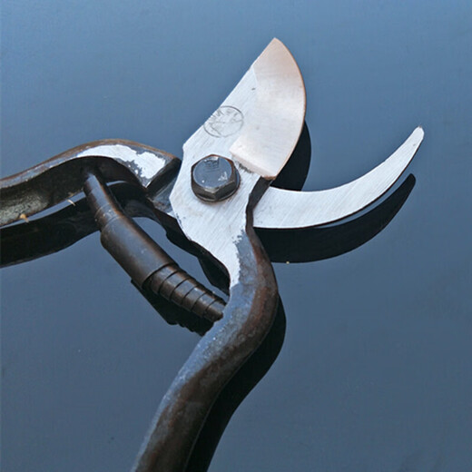 Customized old-fashioned Wangershan fruit tree scissors, pruning shears, gardening scissors, labor-saving scissors, thick branch shears, pruning shears, pruning shears