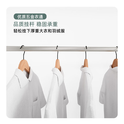 RED APPLE assemblé grande armoire chambre maison simple 2/3 porte armoire de rangement R9224 1.6 mètres Angola 丨 armoire à quatre portes