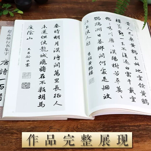 One hundred Tang poems with calligraphy in Zhao Mengfu's running script. Copying tutorial for Zhao Mengfu's classic stele calligraphy collection in running script and ancient poems and calligraphy. An introductory copying textbook for beginners of Zhao style calligraphy calligraphy. Zhejiang People's Fine Arts Publishing House
