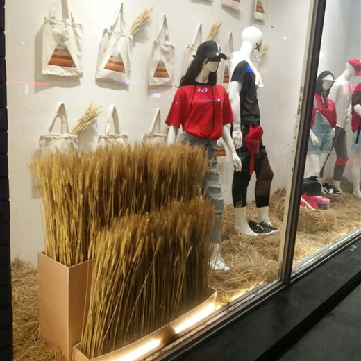 Sumao natural air-dried barley ears dried flower bouquet opening gift decoration farmhouse photography props flower arrangement real wheat ears original color wheat ears 100 pieces dried flower bag