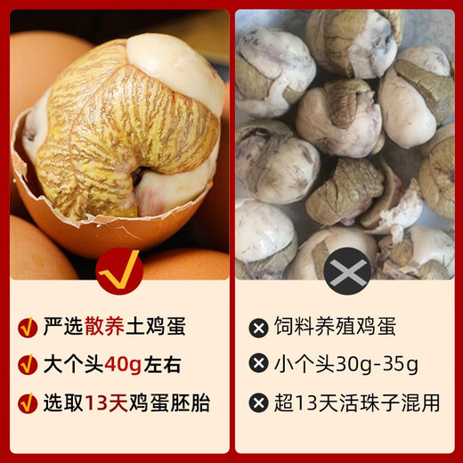 Fresh live beads, fresh for 13 days, five-spice spicy flavor, ready-to-eat raw eggs, live beads, embryonated eggs, cooked tempered eggs, eggs, five-spice 10 + spicy 10, a total of 20 pieces 800g Fresh live beads, fresh for 13 days, five-spice spicy flavor, ready-to-eat raw eggs, live beads, embryonated eggs, cooked tempered eggs, eggs, five-spice 10 + spicy 10, a total of 20 pieces 800g