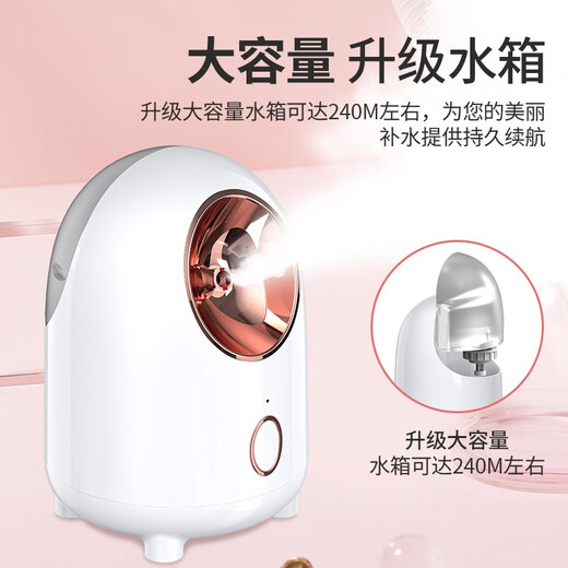 Aseblarm facial steamer humidifying nano hydrating facial hot spray machine beauty instrument steaming instrument household open pores detoxification basic white 200ml