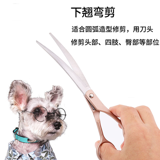 Tanizaki pet grooming scissors, dog hair tool set, 7-inch split scissors, professional trimming scissors, curved scissors, Teddy cat and dog universal haircut tool, pet scissors #dental scissors + curling scissors, storage bag