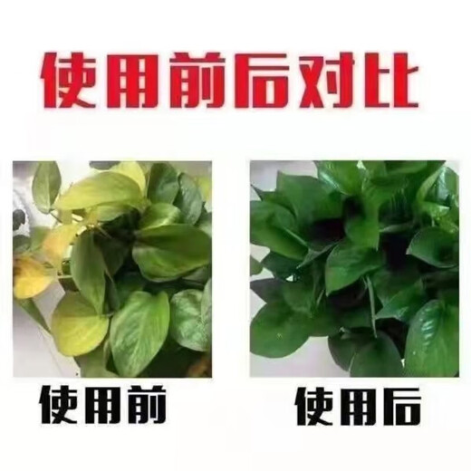 复合肥尿素磷肥钾肥花肥料花卉盆栽蔬菜果树化肥通用型氮磷钾 通 通用升级配方复合肥1斤装
