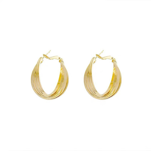 Idel's high-end hoop earrings 2025 new trendy Internet celebrity temperament earrings for women's atmospheric exaggerated earrings birthday gift gold metal earrings E0534