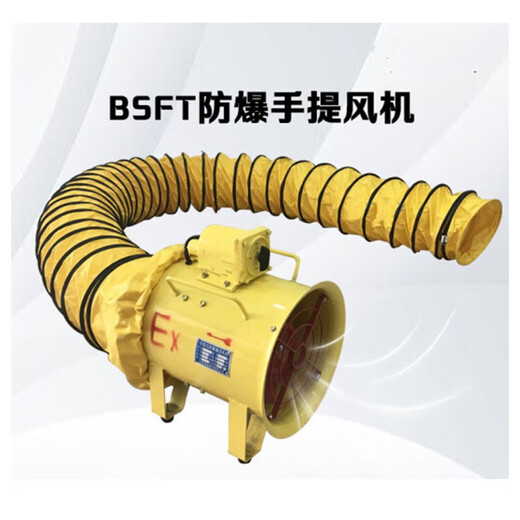 Dingzhuo Electric (DINZOO) explosion-proof portable axial flow fan marine exhaust fan BSFT-200+10m air duct